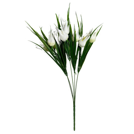 17" Miniature Wild Tulip Bush- White