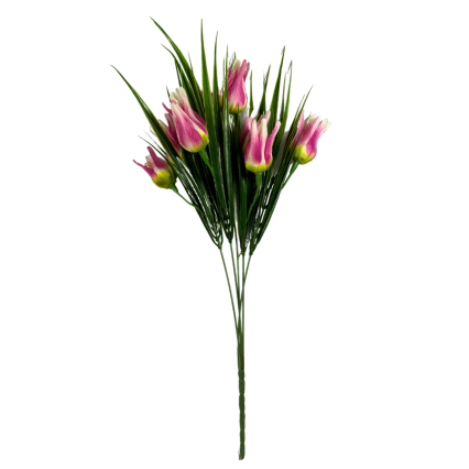 17" Miniature Wild Tulip Bush- Pink & White