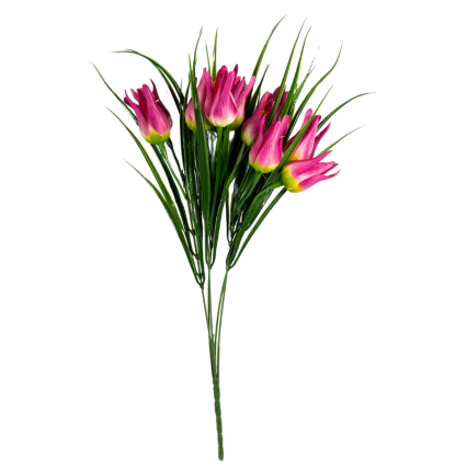 17" Miniature Wild Tulip Bush- Hot Pink