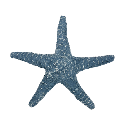 11" Resin Starfish- Dark Blue