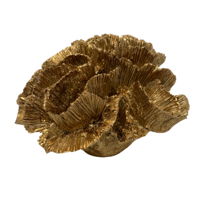6" Coral Bunch