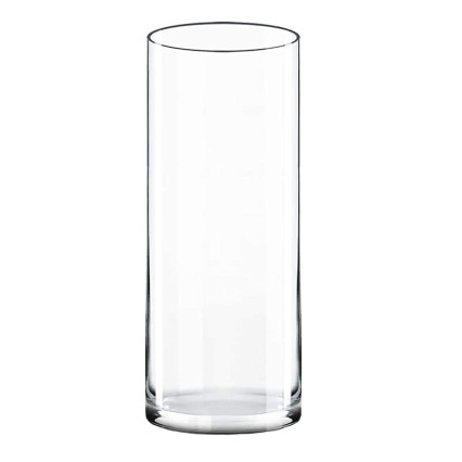 4x12 Glass Cylinder Vase