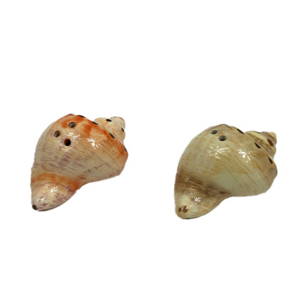 Conch Shell Salt & Pepper Shaker Set