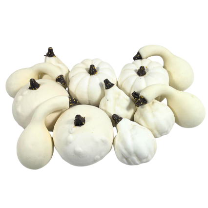Mixed White Pumpkins Set