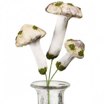 11" Mushroom Pick