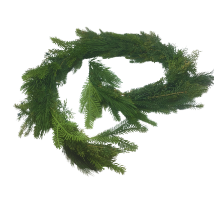6' Belgium Pine Garland w/ 54 Tips