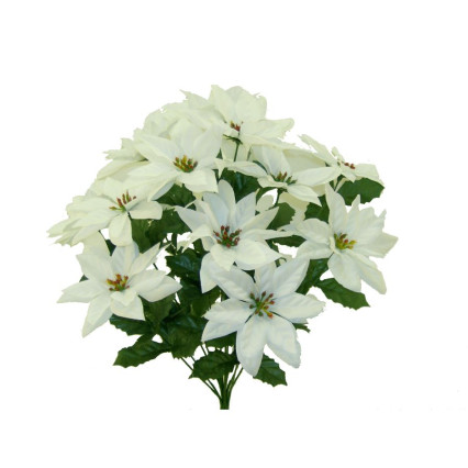 20" Poinsettia Bush-White