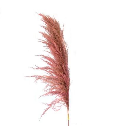 43" Pampas Branch - Pink