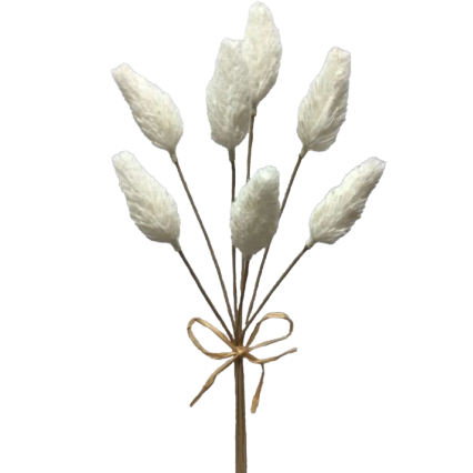 18" Amaranth Pick Bundle- White