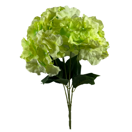 19" Cypress Hydrangea Bush