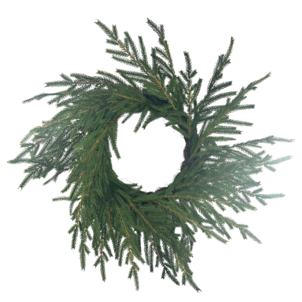 28" Norfolk Pine Wreath