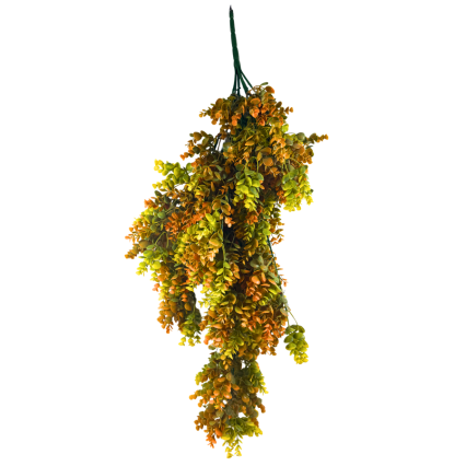 36" Eucalyptus Hanging Bush