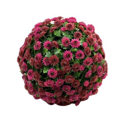 12" Lavender Mum Topiary Ball