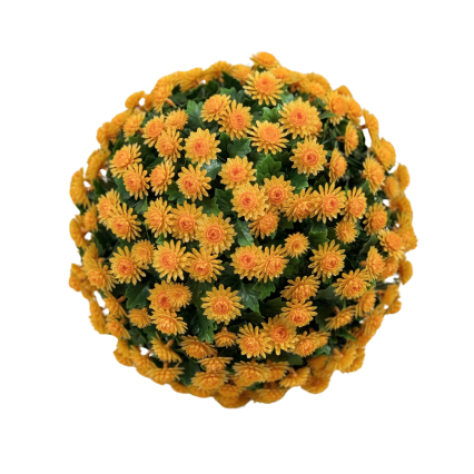 12" UV Mum Topiary Ball - Orange