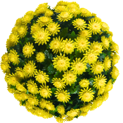 16" UV Mum Topiary Ball - Yellow