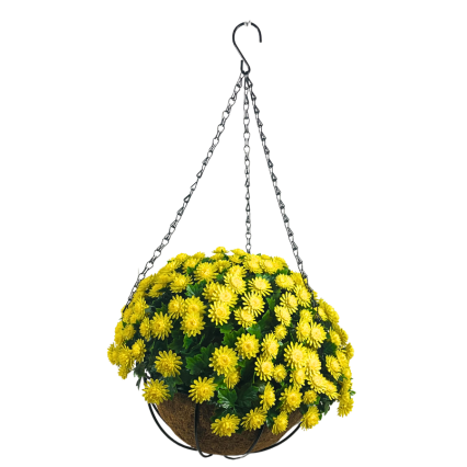 14" UV Mum Hanging Basket - Yellow