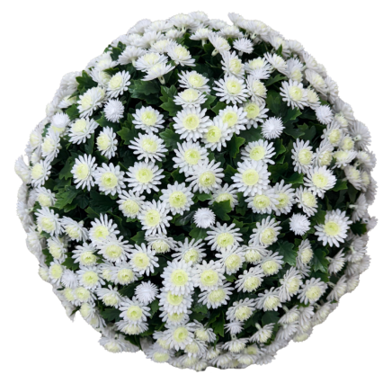 16" UV Mum Topiary Ball - Cream