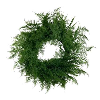 24"  Asparagus Fern Wreath
