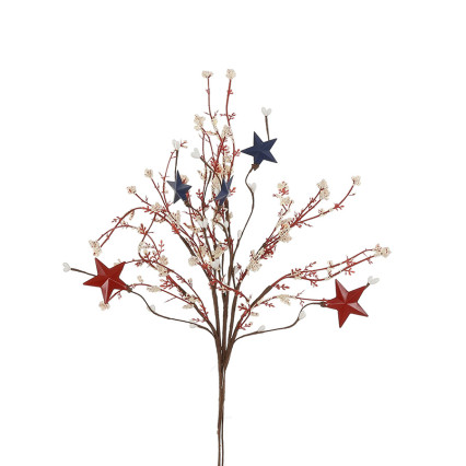 Patriotic Pick- White Gyp with Red & Blue Stars