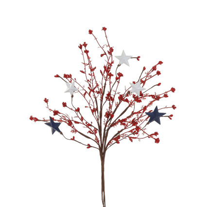 Patriotic Pick- Red Gyp with Blue & White Stars