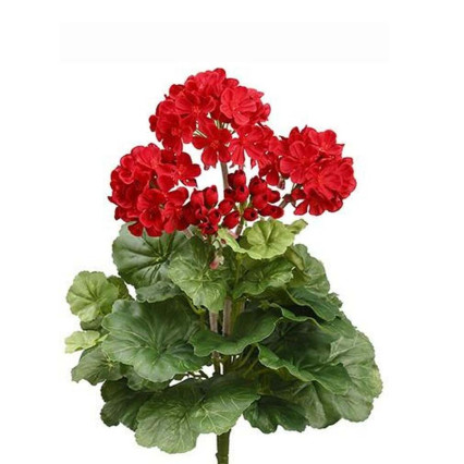 15" Geranium Bush - Red
