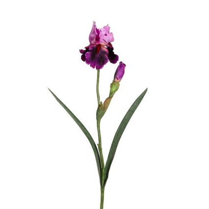 28" Bearded Iris Spray - Violet/Lavender