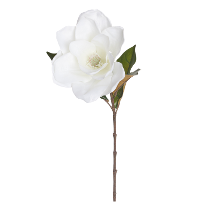 27" Giant Magnolia Stem-White