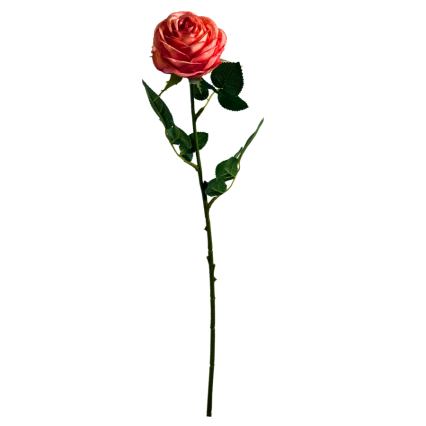 20.5" Single Rose- Coral