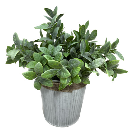 10.5"H Faux Boxwood Leaf in Tin Planter