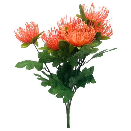 Pincushion Flower - Orange