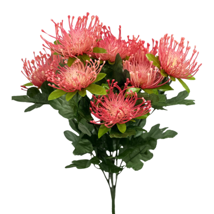 Pincushion Flower- Pink