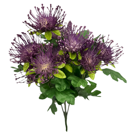 Pincushion Flower- Purple