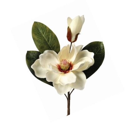 14" Magnolia Pick