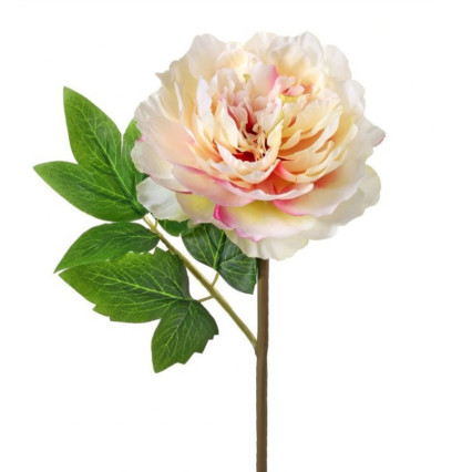 12" Cut Peony Stem - Blush