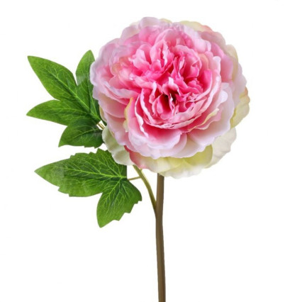 12" Cut Peony Stem - Pink