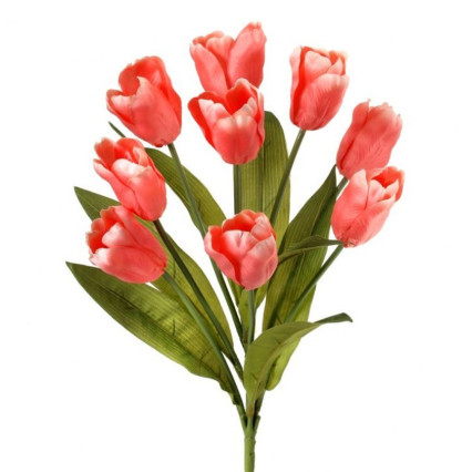 20" Tulip Bush - Coral