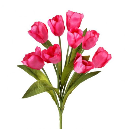 20" Tulip Bush - Hot Pink