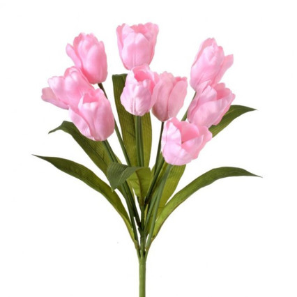20" Tulip Bush - Pink