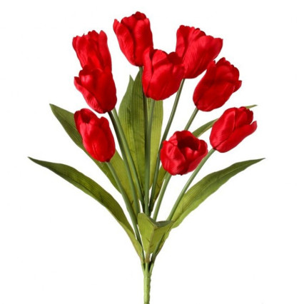 20" Tulip Bush - Red