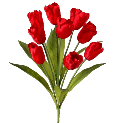 20" Tulip Bush - Red