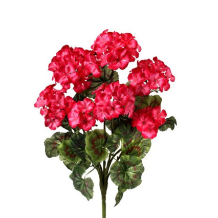 20" Geranium Bush- Hot Pink