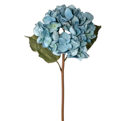 22" Just Dried Grand Hydrangea Stem - Blue