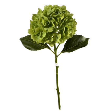18" Hydrangea Stem- Apple Green