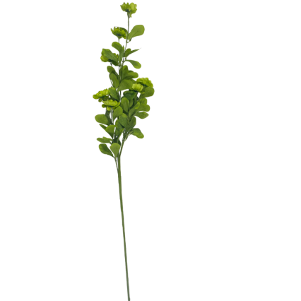 34" Button Zinnia Spray - Green