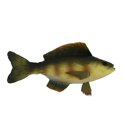 10.5" Perch Fish