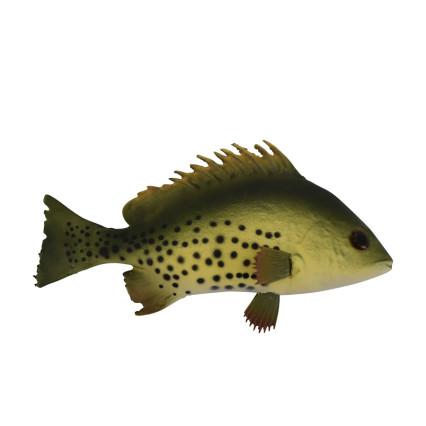 9" Crappie Fish