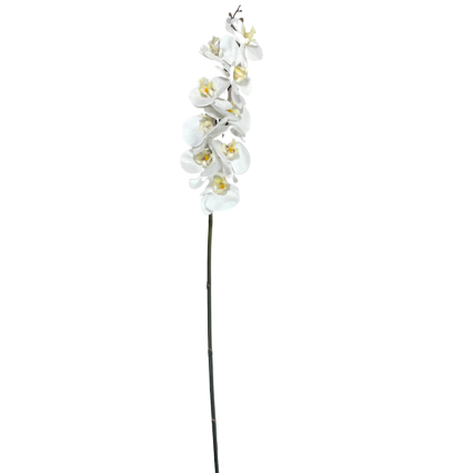 38" Real Touch Real Touch Phalaenopsis Orchid - Cream