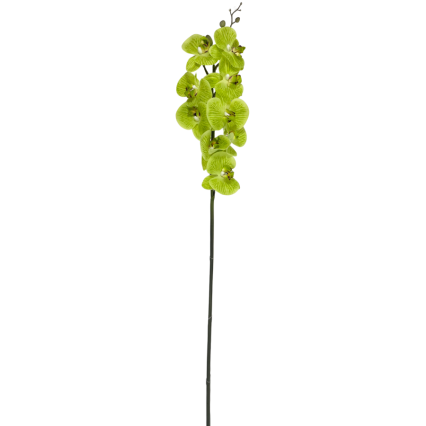 38" Real Touch Real Touch Phalaenopsis Orchid - Green