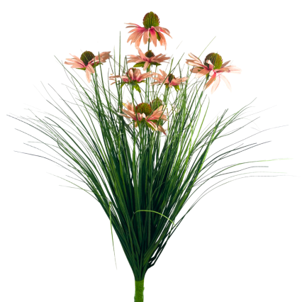 23.5" Black-Eyed Susan Bush - Pink