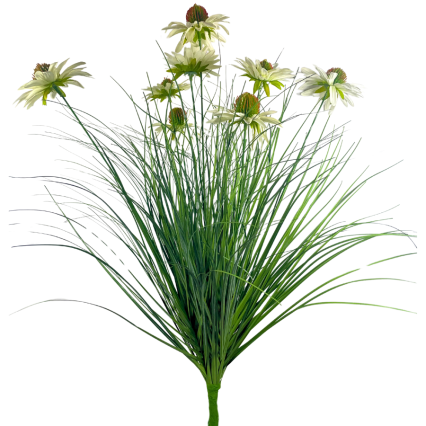 23.5" Black-Eyed Susan Bush - White